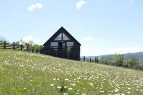 The Black Hills - Cottage in Dusheti